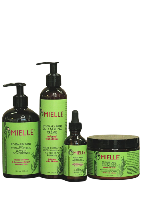 Mielle • Collection Rosemary Mint